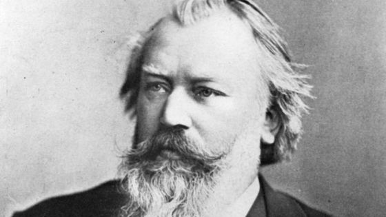 Portrait de Johannes Brahms (1833-1897) - Hulton Archive/Getty Images