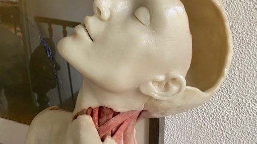 Une céroplastie de Nathalie Latour dans son atelier