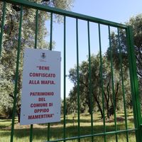 Sur les grilles de l'oliveraie confiée à la coopérative Valle del Marro par la justice. Calabre, septembre 2020.