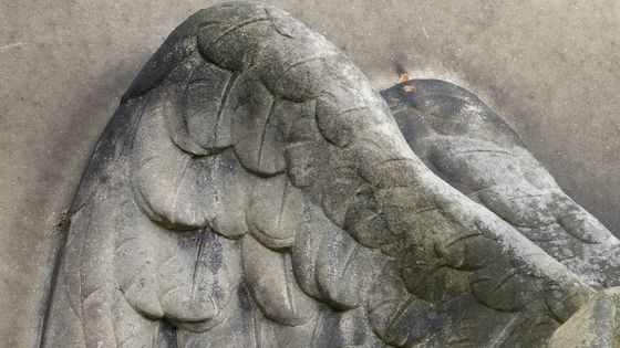 "Endeuillée", ange en pierre (détail) ©Getty