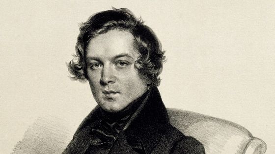 Portrait de Robert Schumann (Zwickau, 8 juin 1810 - Bonn, 29 juillet 1856), compositeur, pianiste et critique musical. Musée d’Histoire de la Ville de Vienne ©Getty - Photo by DEA / A. DAGLI ORTI / DeAgostini/Getty Images