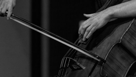 Violoncelliste en pleine interprétation ©Getty