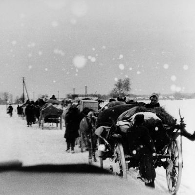 Convoi de réfugiés allemands fuyant les territoires de l'est (forêt de la Spree, Lusace), février 1945