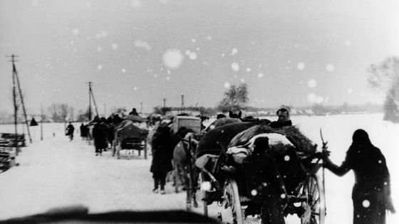 Convoi de réfugiés allemands fuyant les territoires de l'est (forêt de la Spree, Lusace), février 1945 ©Getty - Arthur Grimm/Ullstein Bild