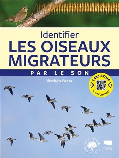La Migration Des Oiseaux Avec La Lpo Aura