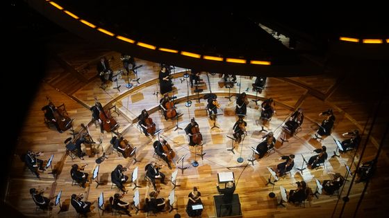 L'orchestre de chambre de Paris avec la mezzo-soprano Isabelle Druet et le chef Pierre Bleuse - cdherouville_philharmoniedeparis