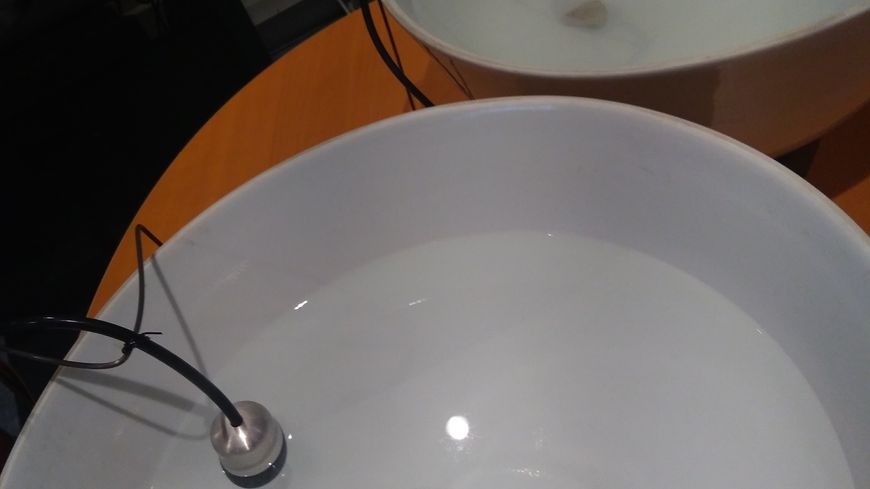 bols d'eau et hydrophones