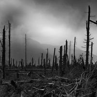 La vie sur Terre est en train de mourir