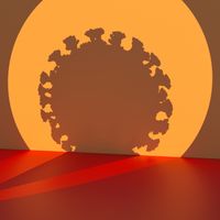 Quelle est la part d'ombre du coronavirus ?