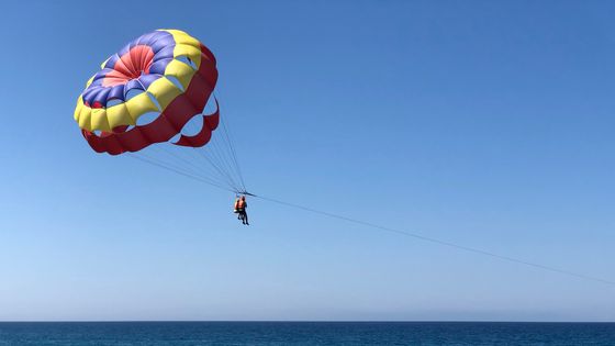 Le clarinettiste volant : portrait confiné d’un musicien parachutiste, Richard Malblanc ©Getty - Jasmin Merdan