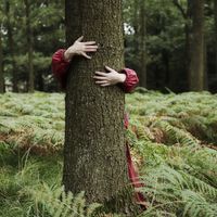 Une jeune femme enlace un arbre en plein milieu de la forêt.