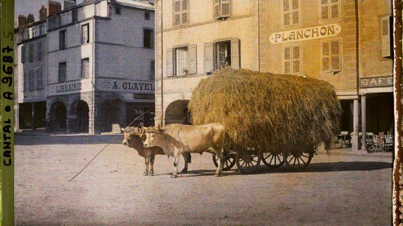 Numéro d'inventaire A 9 687. Collection Archives de la Planète - Musée Albert-Kahn/Département des Hauts-de-Seine