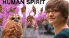 Human Spirit