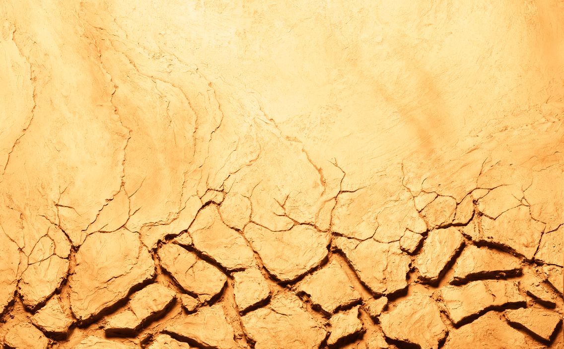 Collapsologie : les origines de la catatastrophe