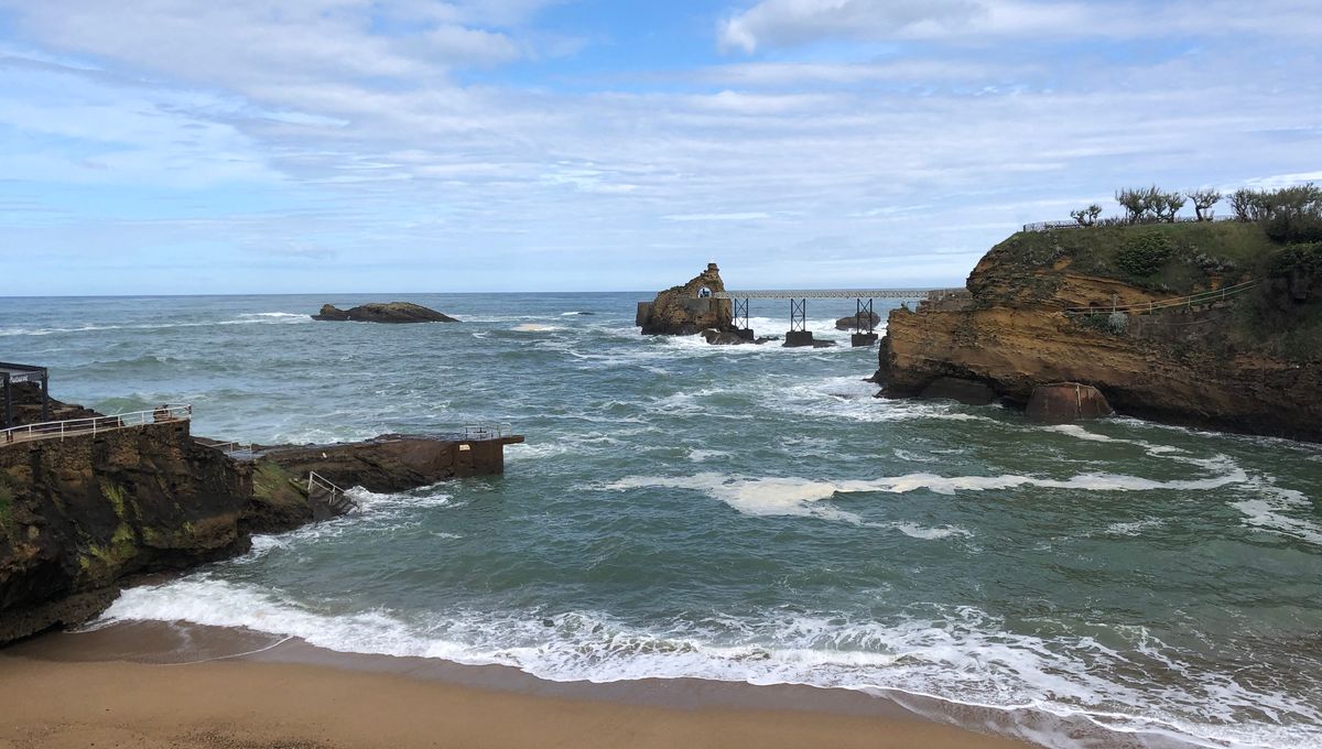 Confinement La Doyenne Des Ours Blancs De Biarritz Interdite De Baignade Malgre Une Prescription Medicale