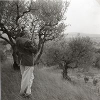 Jean Giono dans une oliveraie du Mont d’Or au-dessus de Manosque (1942)