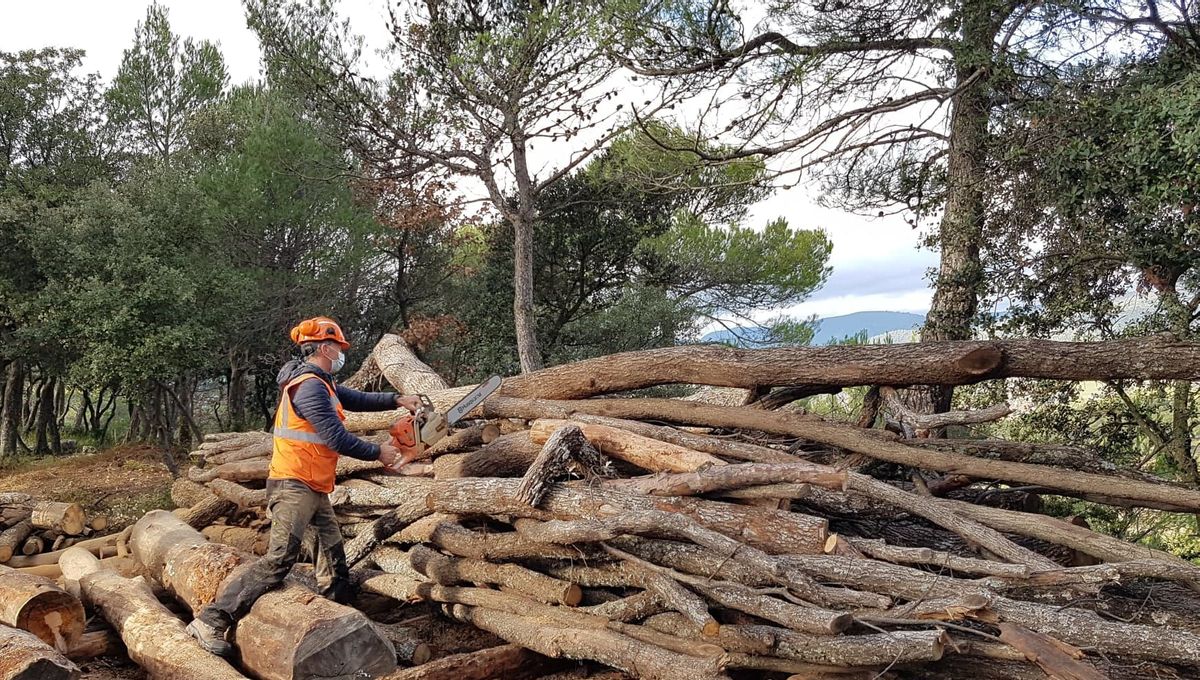Centre Forestier La Bastide Des Jourdans Pronote