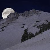 Snow in the Moonlight