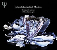 Motet "Jesu, meine Freude" de JS Bach dirigé par Philippe Herreweghe
