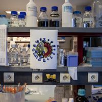 Une étage d'un des laboratoires de l'Institut Pasteur (Paris, le 09/03/2020)