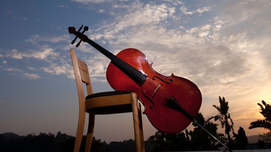 « Only Cello » : L'enseignante Valérie Aimard lance une chaîne dédiée au violoncelle solo ©Getty - Dave Nagel