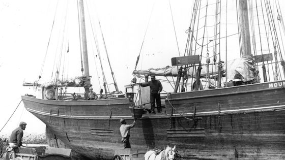 Les pêcheurs déchargent les prises du jour du bateau de pêche sur des charrettes à poney en attente. ©Getty - F. J. Mortimer