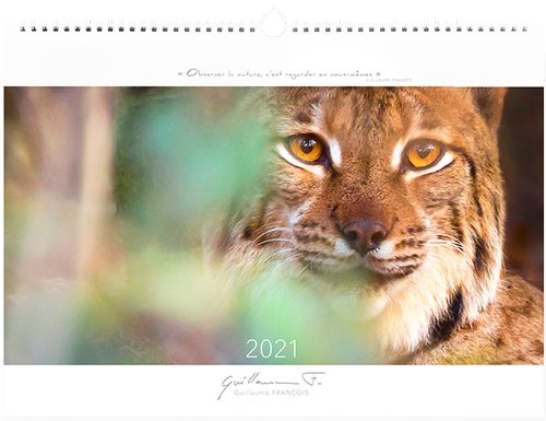 chat et rencontre canada