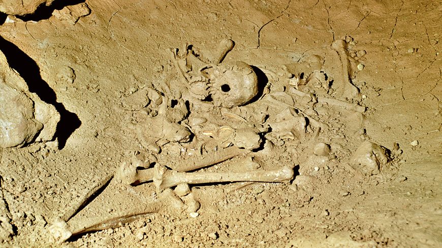 Plusieurs dépôts de corps humains ont été reconnus. Le réceptacle marqué par une dépression du sol argileux, est une bauge à ours.