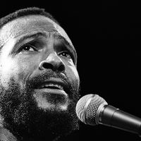 Marvin Gaye à Rotterdam en juillet 1980 (Rob Verhorst/Redferns)