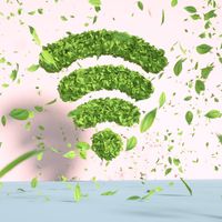 Le numérique peut-il être écologique et plus vertueux ?