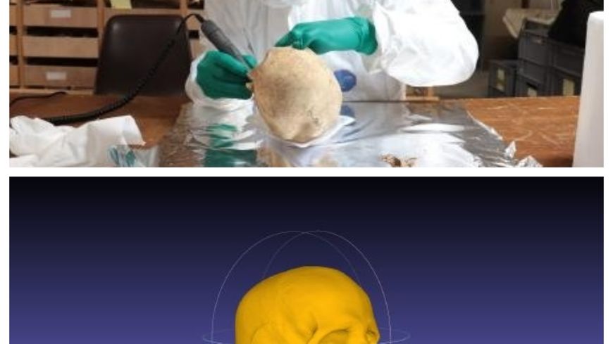 (Haut) : Ludovic Orlando réalise un prélèvement sur un individu néolithique dont le génome a été séquencé / (Bas) : Imagerie 3D du crâne d’un individu néolithique dont le génome a été séquencé.