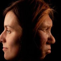 Reconstitution par deux artistes néerlandais, Andrie et Alfons Kennis, du crane d'une femme de Neandertal