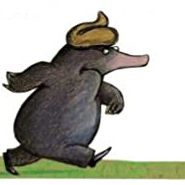 "La pette taupe qui voulait savoir qui lui avait fait sur la tête" : détail de la couverture du livre de Werner Holzwarth, dessiné par Wolf Erlbruch (Editions Milan)
