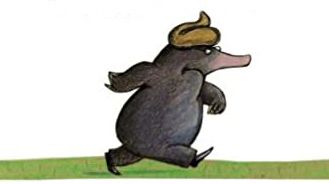 Spéciale caca boudin !