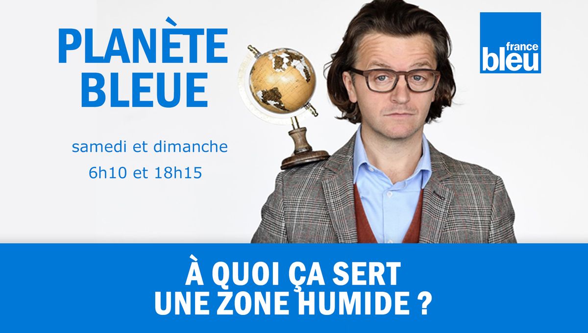 A Quoi Sert Le Bleu Au Billard À quoi ça sert une zone humide