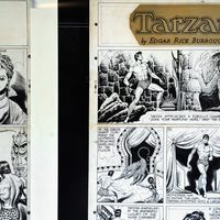 Photo d'une planche de la bande dessinée "Tarzan" lors de l'exposition au Musée du Qua Blanly à Paris en 2009.