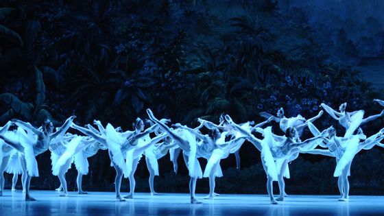 La Bayadère à l'Opéra de Paris en 2012 ©Getty - Sveeva VIGEVENO
