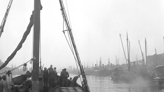 Rentrée au port ©Getty - Evans