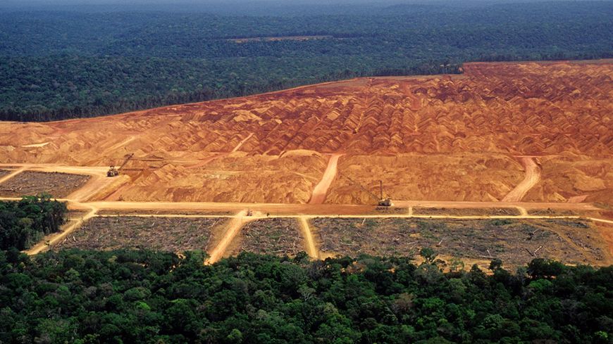 Déforestation en Amazonie