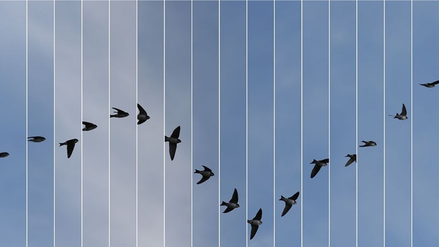 Photo extraite de la série "le bleu du ciel", oeuvre à 4 mains d'Edouard Taufenbach (photographe) et Régis Campo (compositeur)