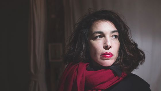 Cécile Guillbert - Nicolas Guilbert / Flammarion