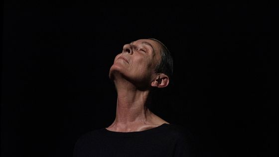 Régine Chopinot dans sa création A-DN - Vincent Lappartient