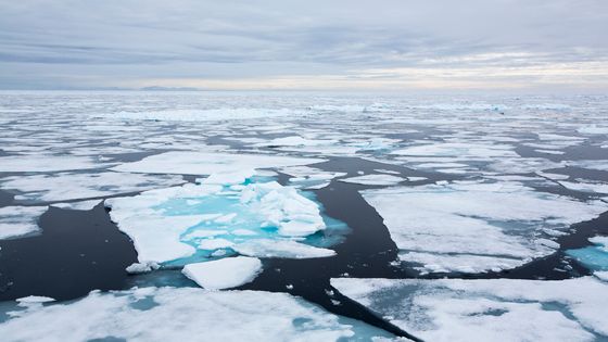 Réchauffement climatique et calottes glaciaires ©Getty - Ashley Cooper