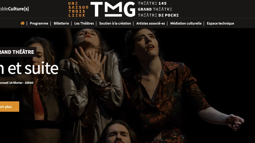 Capture d'écran du site internet de l'actuel Théâtre municipal de Grenoble, février 2021.