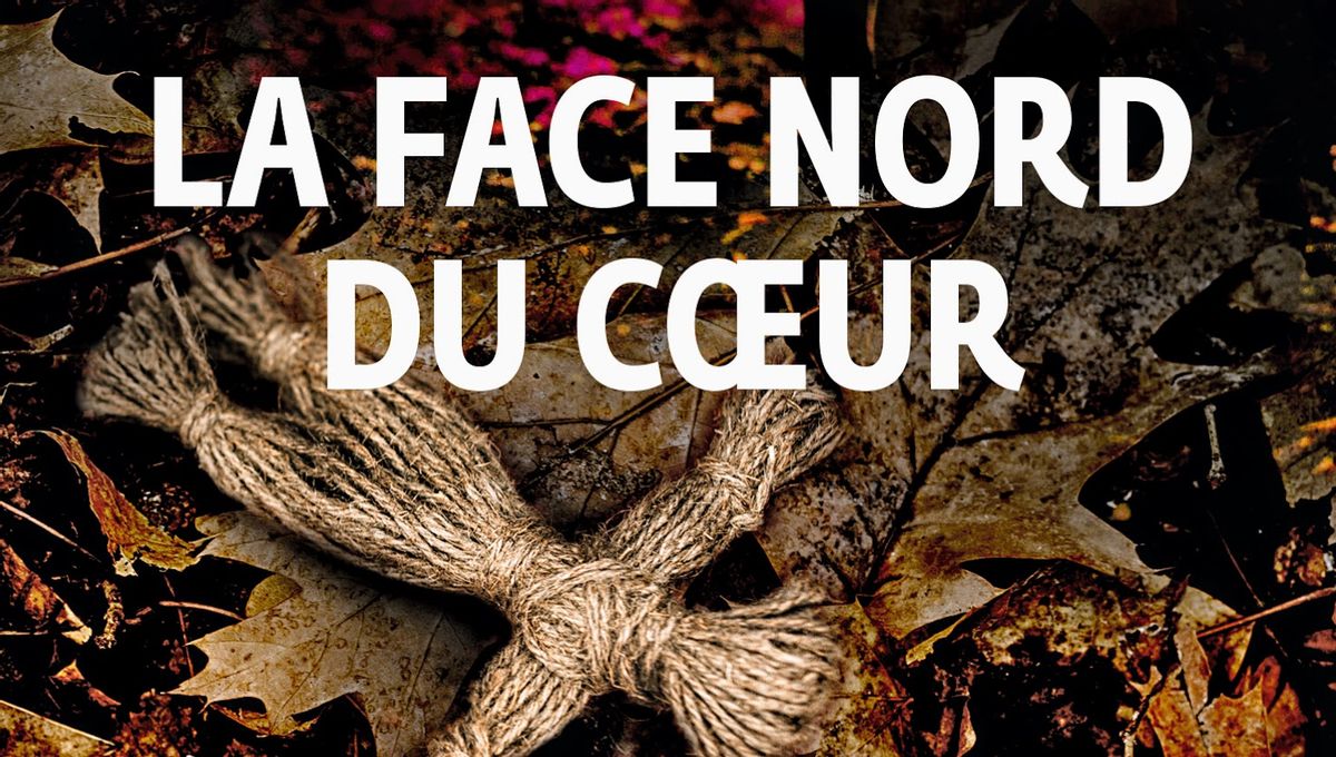 Dolores Redondo La Face Nord Du Coeur La Face Nord du Cœur de Dolores Redondo, dans la Collection Série Noire