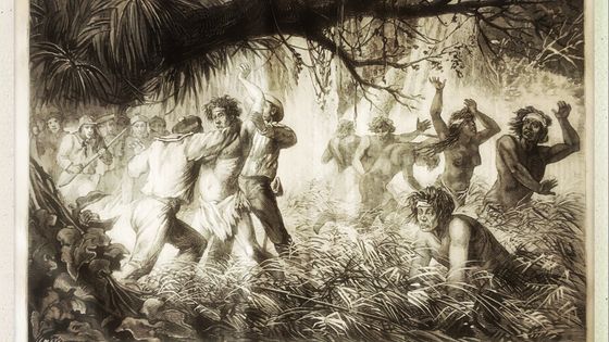 Gravure d'époque montrant la capture de Narcisse Pelletier - François Teste