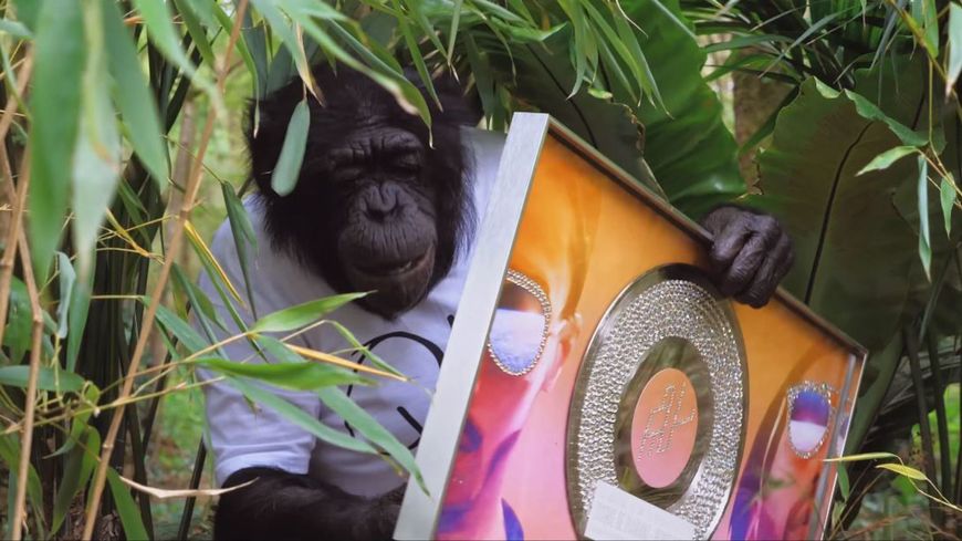 PNL : capture clip "On enverra Mowgli chercher médailles"