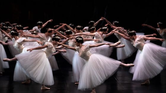 Les danseuses du Ballet de l'Opéra de Paris, lors d'une répétition de "Giselle" au Palais Garnier, le 30 janvier 2020. ©AFP - Lionel BONAVENTURE