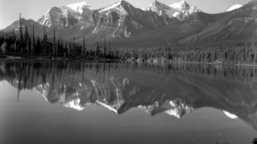 La nature sauvage est au cœur des écrits de Jack London