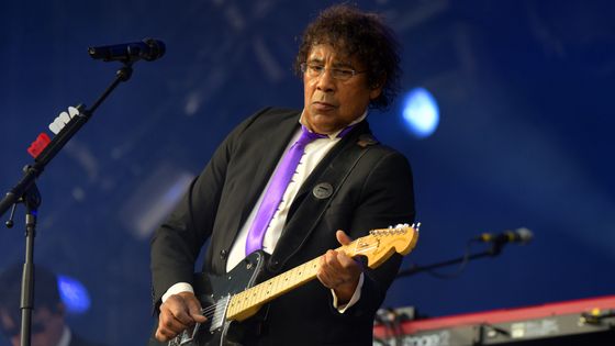 Laurent Voulzy en concert en 2016 ©Getty - Elise HARDY